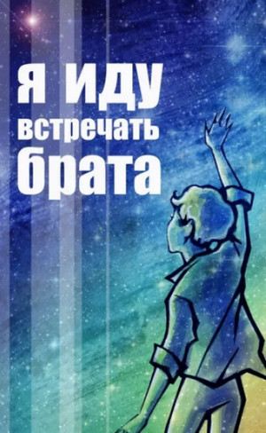 Я иду встречать брата / Владислав Крапивин (8)