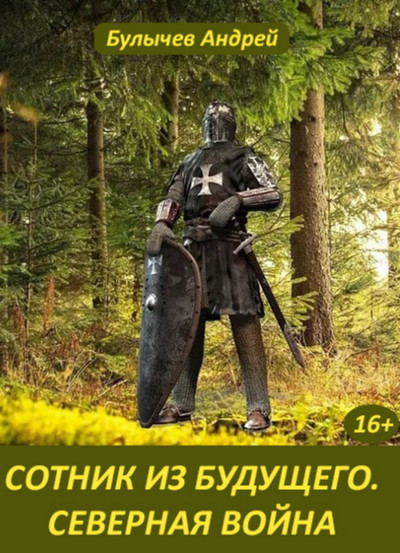 Сотник из будущего. Северная война / Андрей Булычев (4)