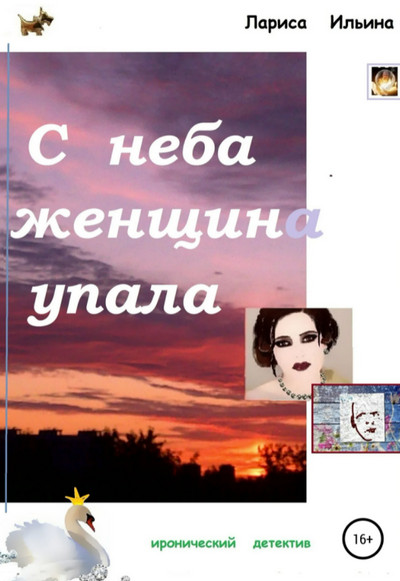 С неба женщина упала / Лариса Ильина