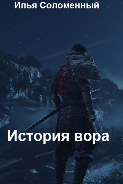 Хроники вора. История вора / Илья Соломенный (1)