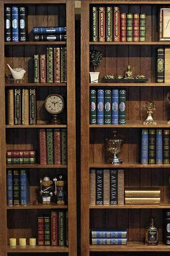 Гость из книжного шкафа / Александр Беляев