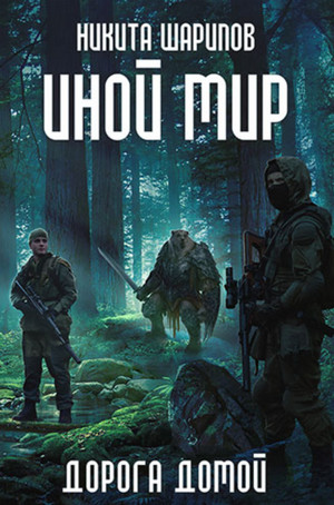 Иной мир. Дорога домой / Никита Шарипов (5)