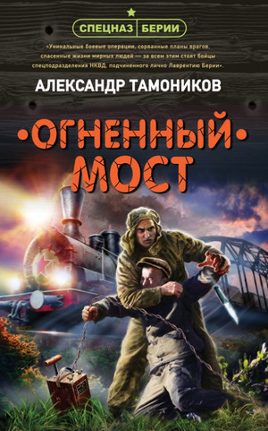 Огненный мост / Александр Тамоников