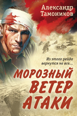 Морозный ветер атаки / Александр Тамоников