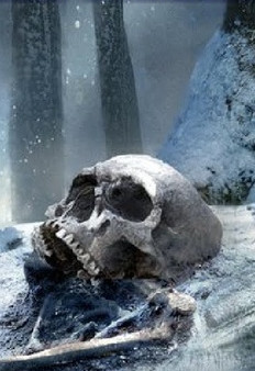 Участковый Максимов. Ужасы Севера / Александр Сеземин