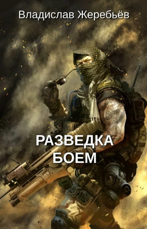 Разведка боем / Владислав Жеребьёв