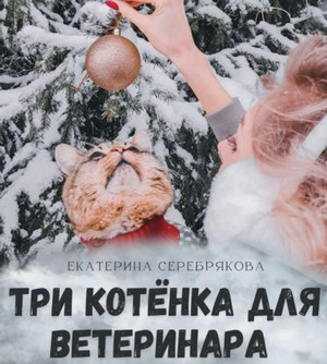 Три котёнка для ветеринара / Екатерина Серебрякова
