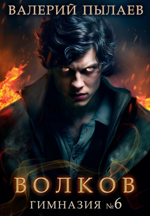 Гимназия №6 / Валерий Пылаев (1)