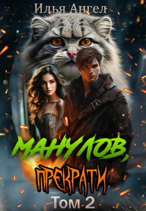 Манулов, прекрати! Том 2 / Илья Ангел (2)