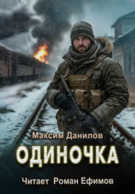 Одиночка / Максим Данилов