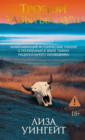 Тропой забытых душ / Лиза Уингейт