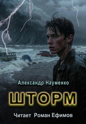 Шторм / Александр Науменко (1)